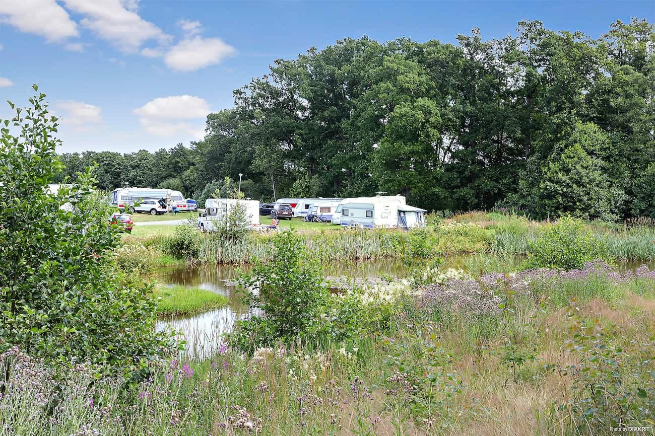 Röstånga - Söderåsen, Naturverbundener Camping Schonen am Söderåsen Nationalpark mit Wanderwegen und Kanufahren.