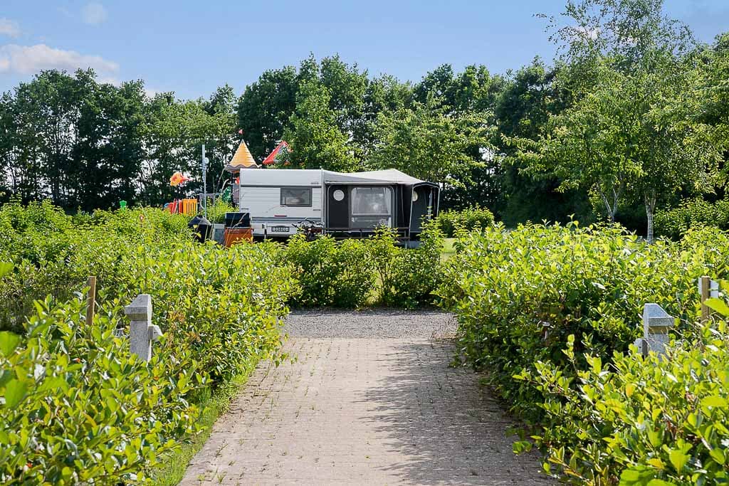Grüne Campinganlage auf Fünen mit Strandnähe und viel Platz