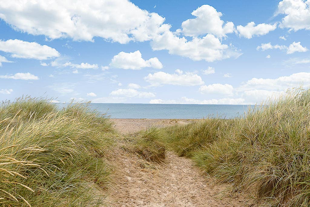 Die schönsten Strände in Dänemark Klim Strand mit weiter Küste und Natur
