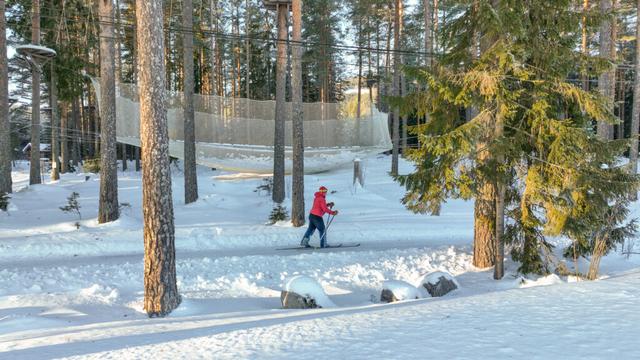 Bø Telemark Winter Skifahren