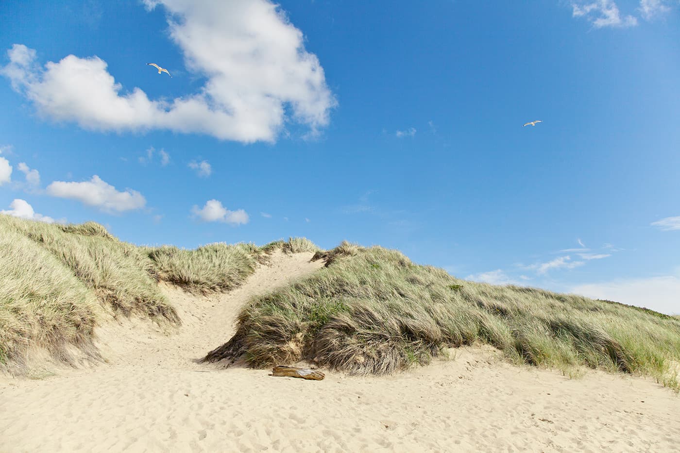 Strand bei Halmstad Schweden direkt am Meer mit flachem Wasser