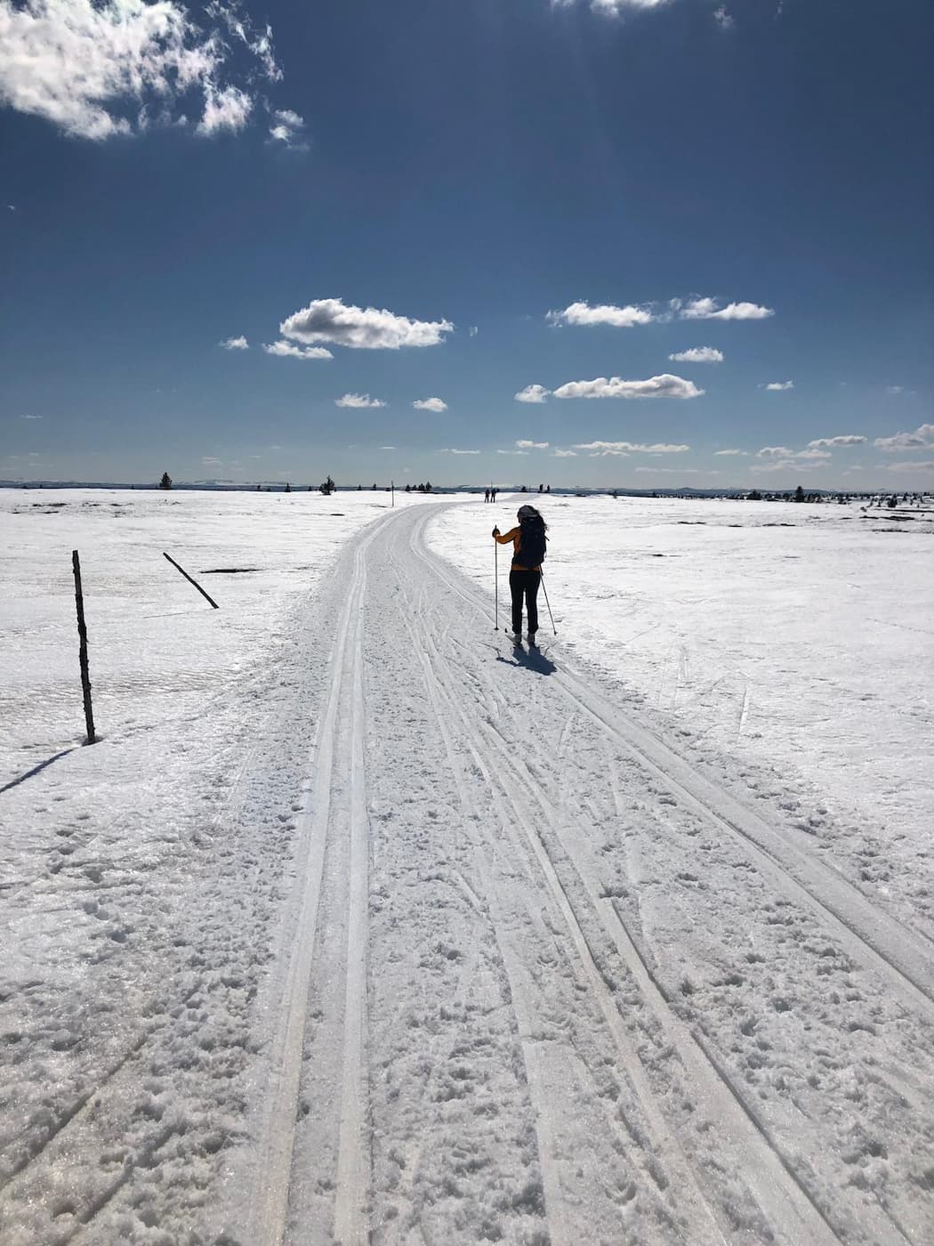 Golsfjellet, Gol - Hallingdal