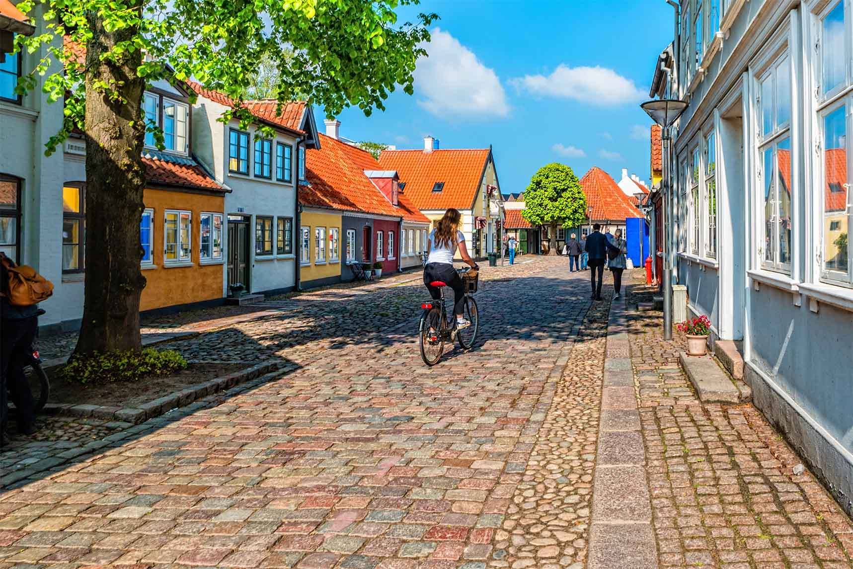 Dagstripp till Odense