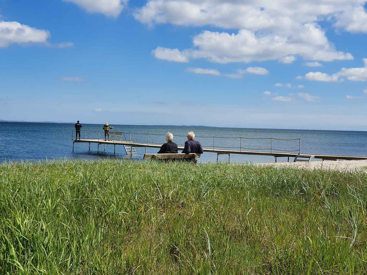 Camping Jütland: Erlebe Camping in Ostjütland mit wunderschönen Stellplätzen, Natur und spannenden Aktivitäten für die ganze Familie.