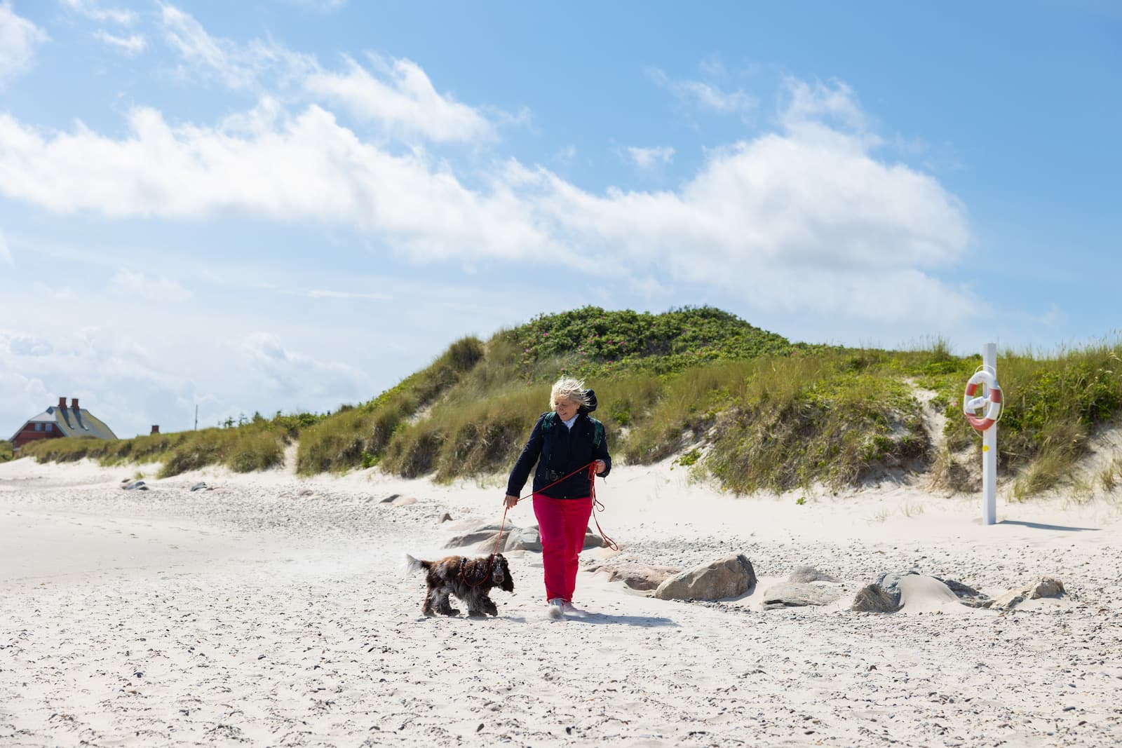 Hundvänlig vistelse vid Grenen Strand - Skagen