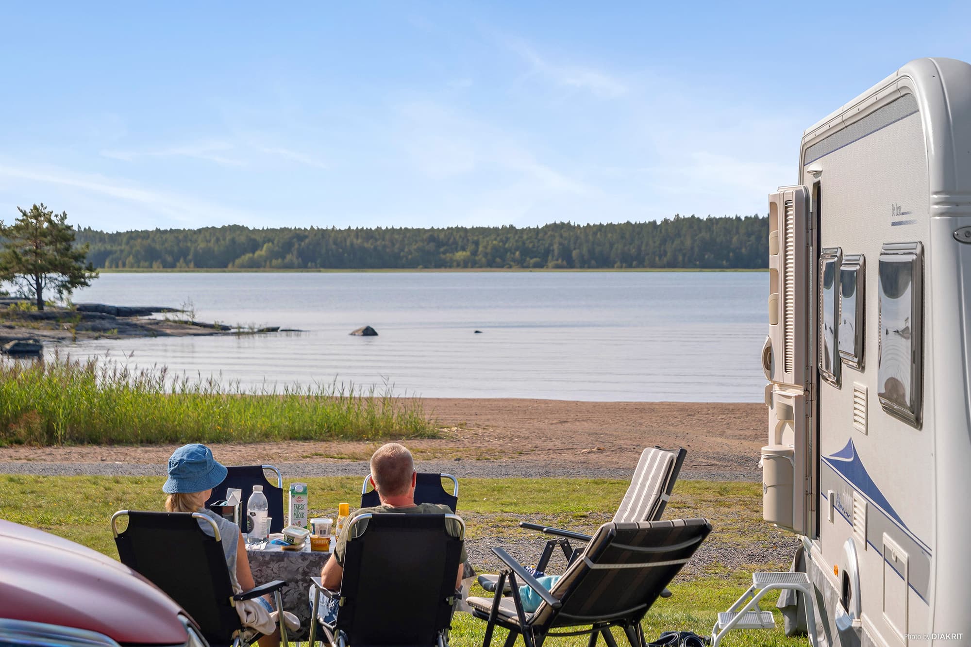Duse Udde - Säffle: Hund genießt einen Spaziergang in der Natur und badet am Hundestrand auf einem hundefreundlichen Campingplatz.