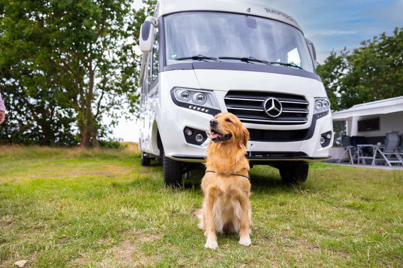 Hundefreundlicher Campingplatz in Helsingborg mit Hundestrand und Spazierwegen