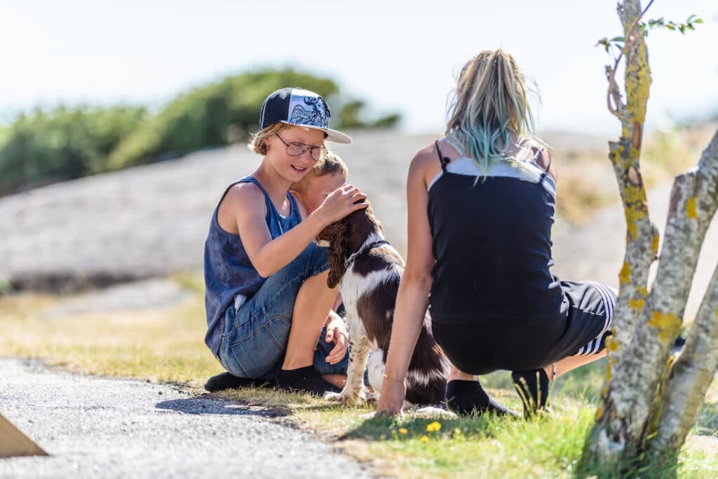 Campa med hund på över 70 destinationer i Sverige, Norge och Danmark.