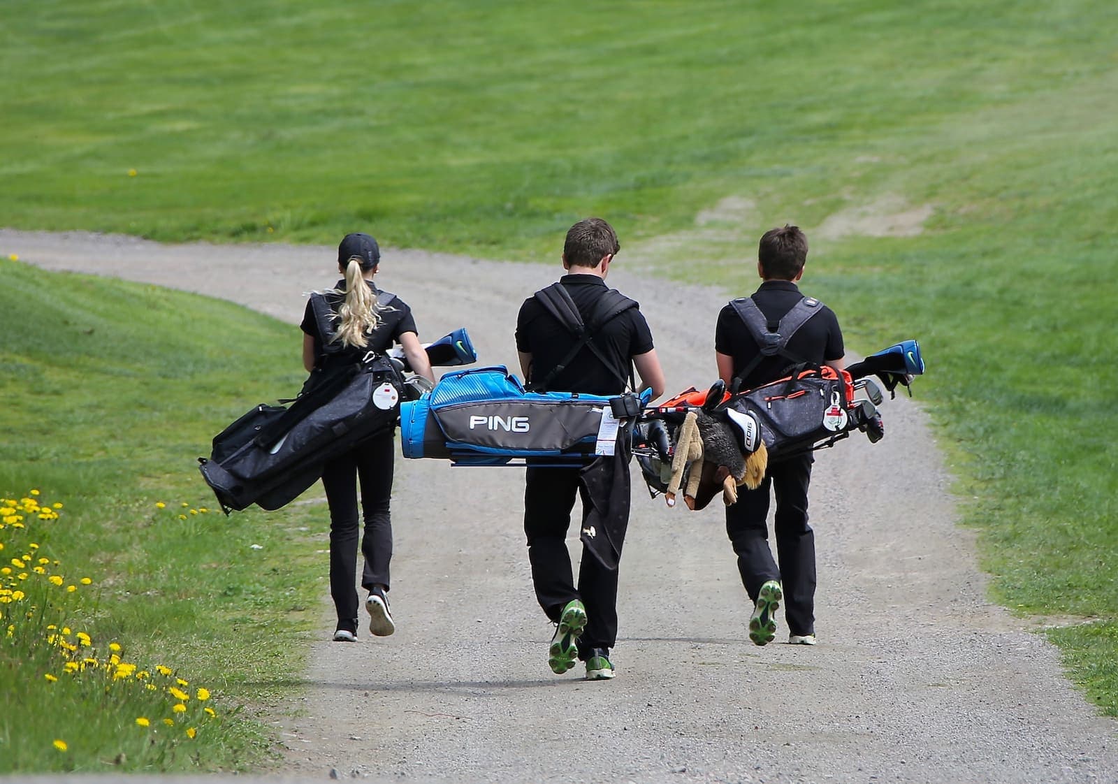 Golfbana årjäng - sommarvik