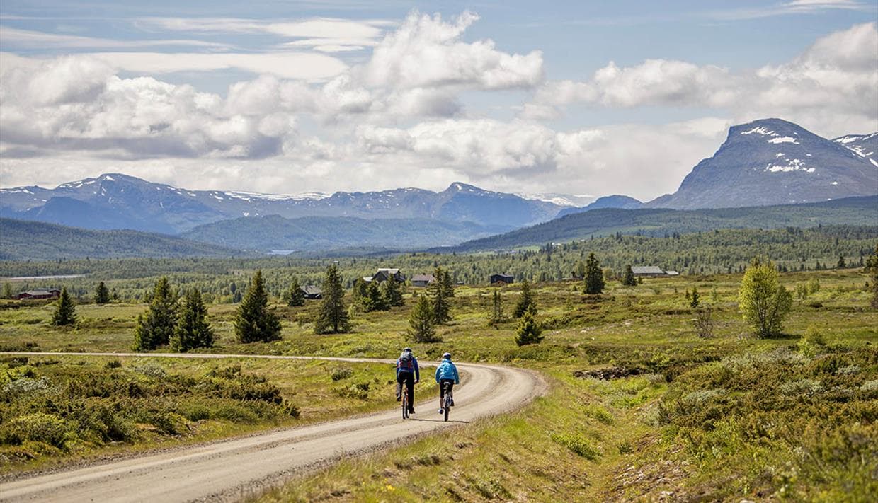 Radfahrer auf der Mjølkevegen durch Fjelllandschaft in Valdres nahe Beitostølen
