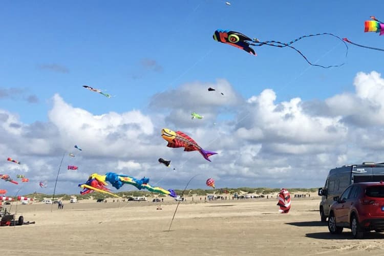 Lakolk Dragefestival