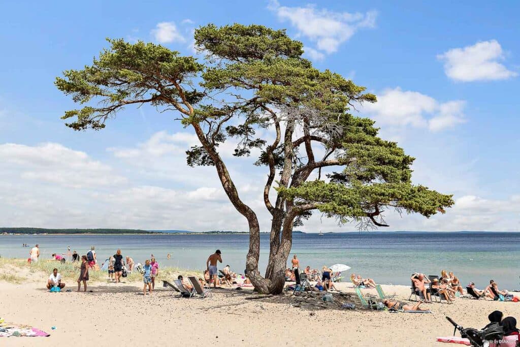 Natur, Strand und Erholung – Campinggenuss pur in Åhus.