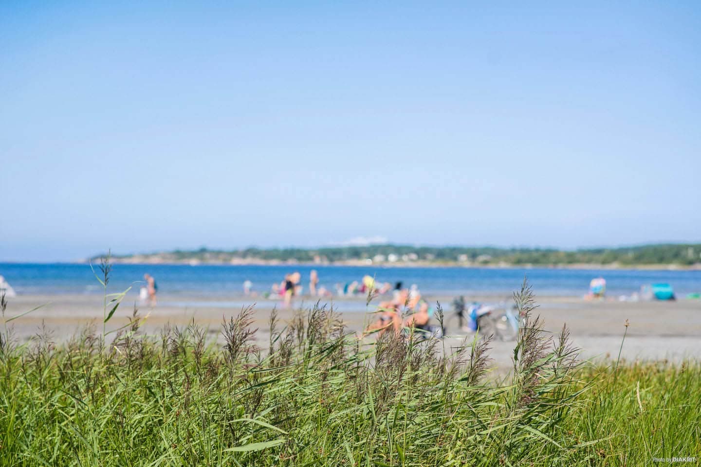 Kärradal strand