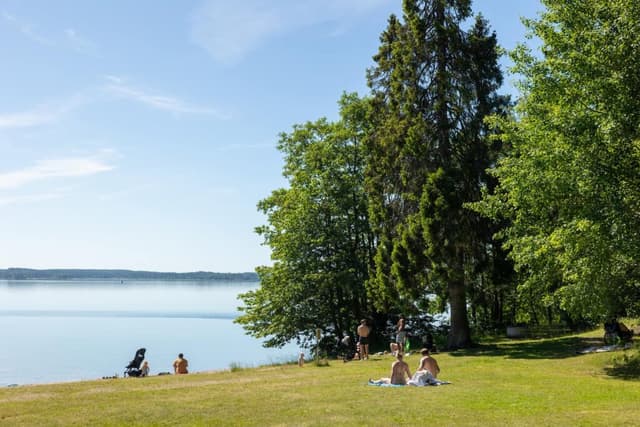 First Camp Kolmården – Norrköping – camping nära djurpark och Bråviken med stugor och naturnära upplevelser.