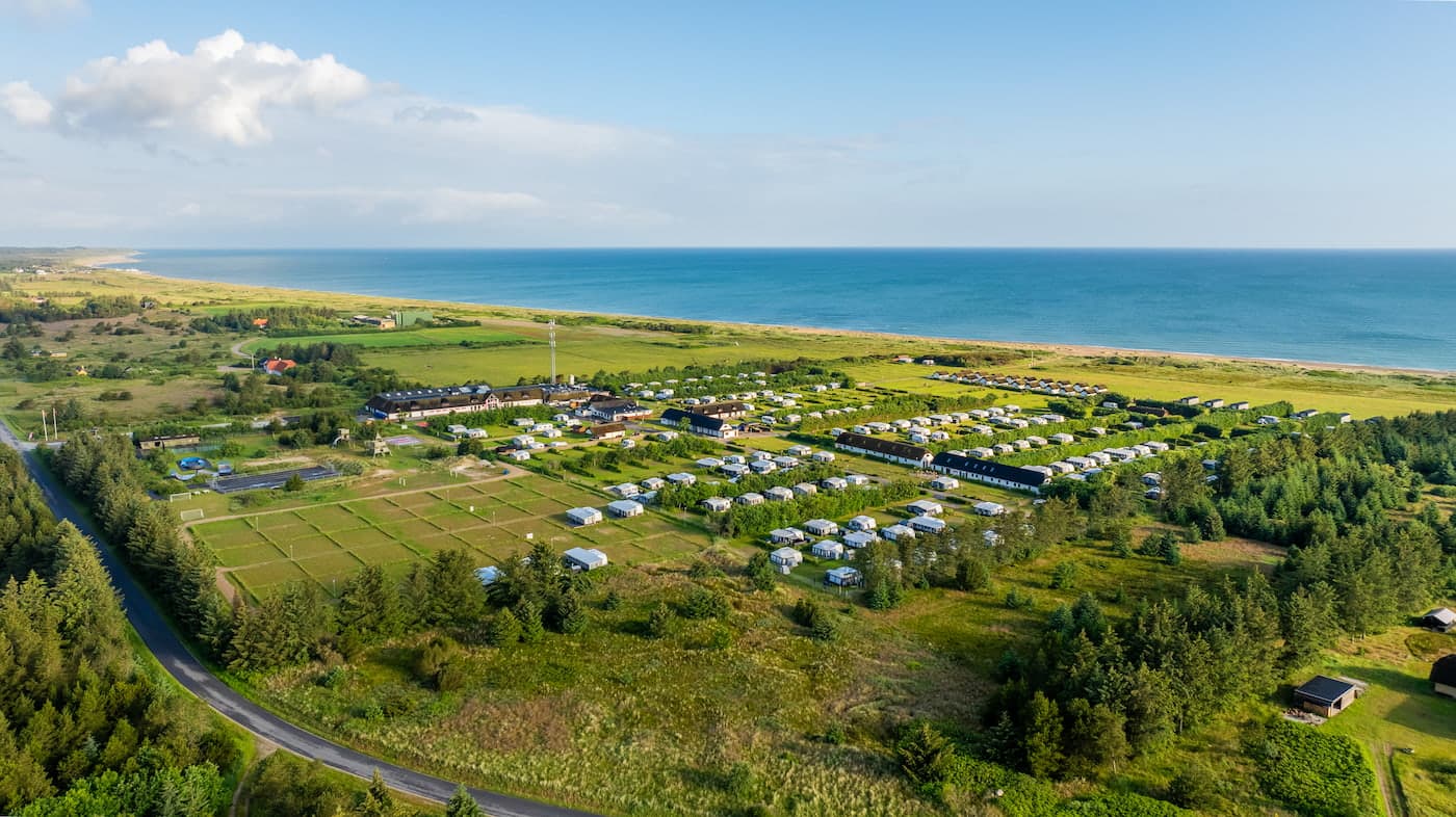 Hund läuft durch den Hundewald, spielt im Sand und wird an der Hundedusche auf einem Campingplatz mit Hund gereinigt.
