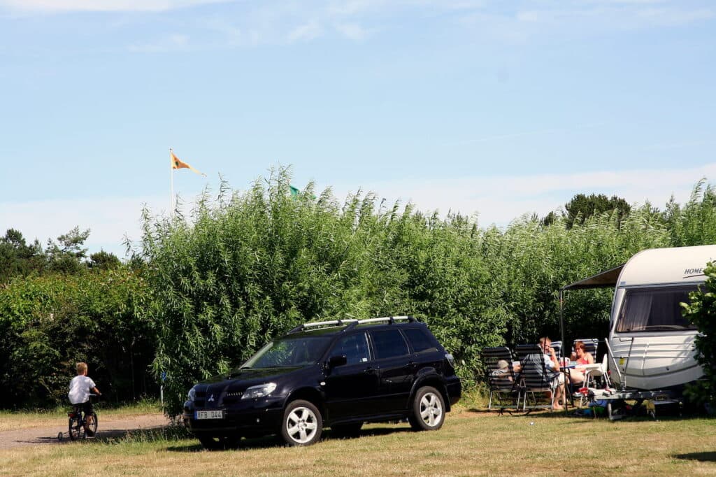 Campingstellplatz mit Strom auf First Camp Råbjerg Mile in Skagen