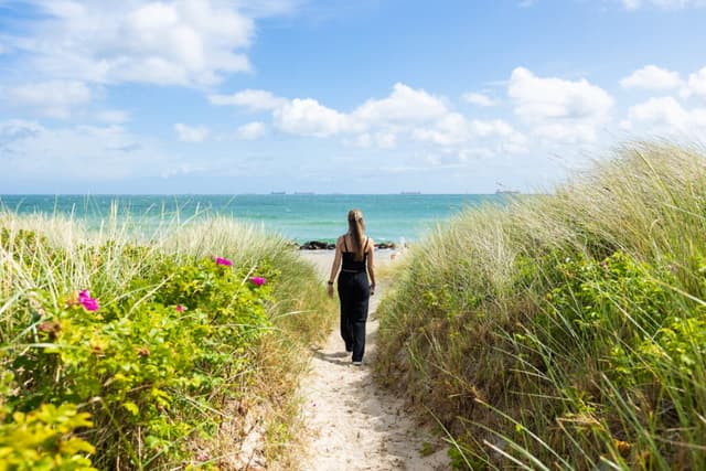 Sandstrand vid Grenen Strand i Skagen med utsikt över havet