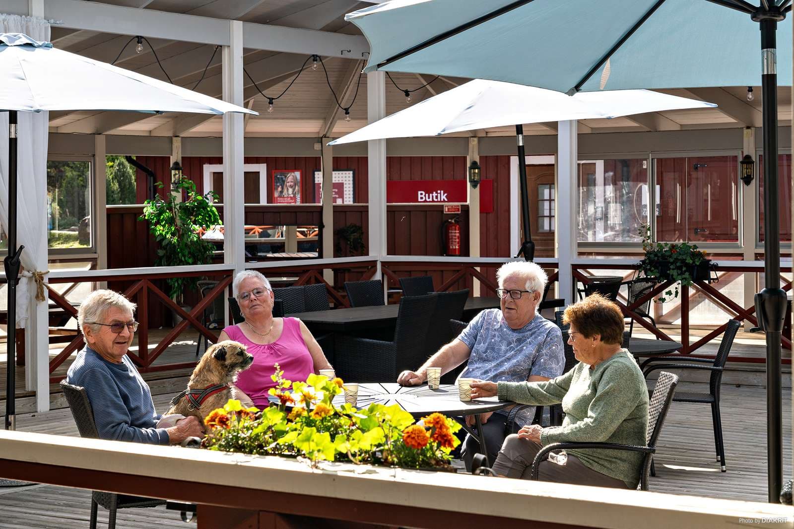 Urlaub mit Hund? Auf unseren hundefreundlichen Campingplätzen sind Hunde auf den Außenterrassen herzlich willkommen – an manchen Orten sogar im Restaurant!