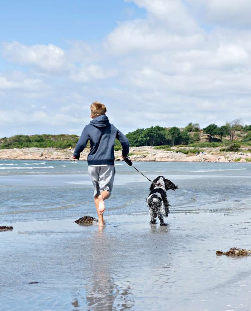 Campa med hund på First Camp - en hundvänlig semester för hela familjen! Stranden på First Camp Kärradal - Halmstad