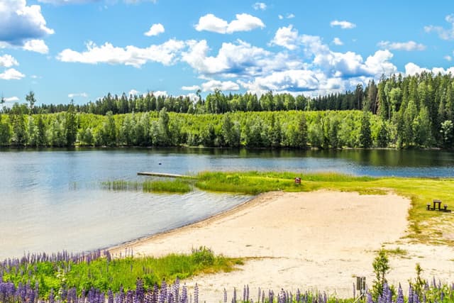 Strand och badplats på First Camp Sommarvik - Årjäng