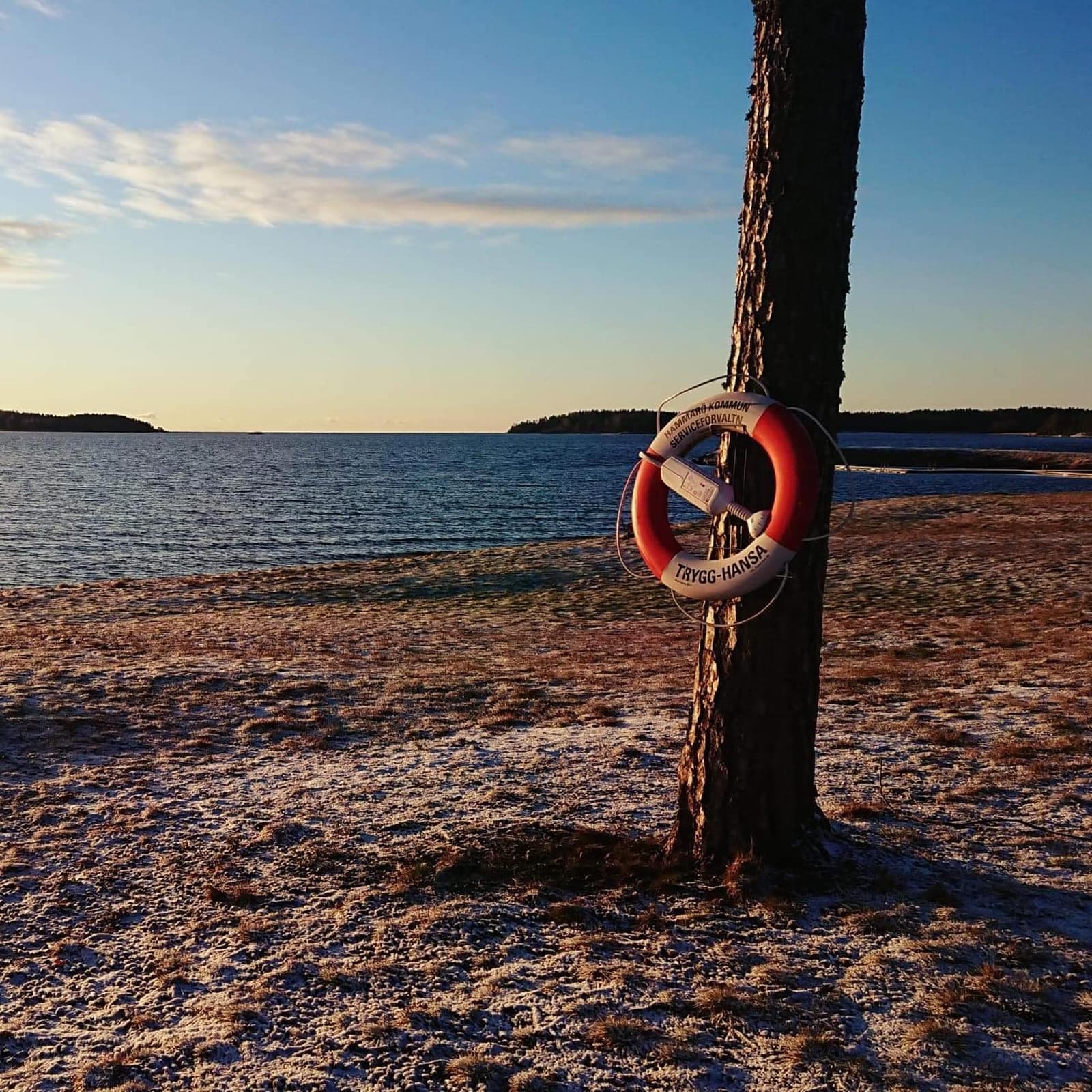 Livboj på ett träd vid Mörudden Hammarö.